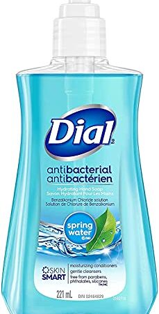 Dial Antibacterial Liquid Hand Soap, Spring Water, 221mL