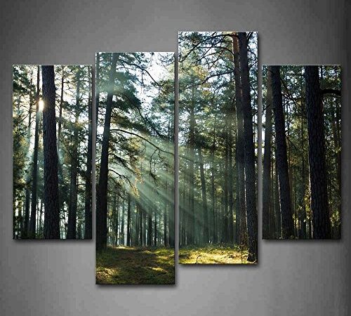 Sunshine Through Forest Wall Art Painting Pictures Print On Canvas Landscape The Picture for Home Modern Decoration