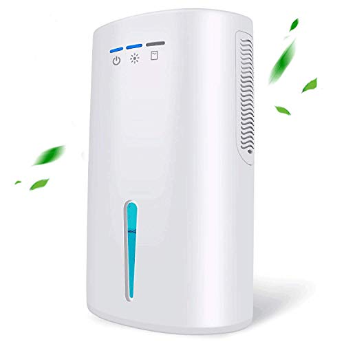 Best dehumidifier in 2022 [Based on 50 expert reviews]