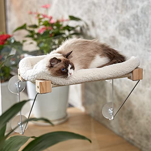 Best cat bed in 2022 [Based on 50 expert reviews]
