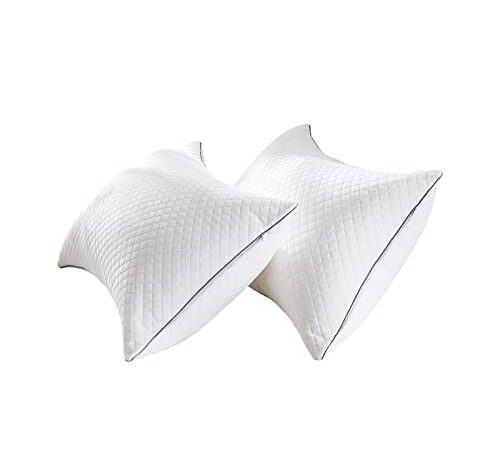 Pillows Queen Size 2 Pack for Bed Sleeping - Hotel Pillow for Side Stomach and Back Sleepers Hypoallergenic Velvet Fabric, Fluffy Down Alternative Pillow with Super Soft Microfiber Filling for Neck Pain Allergy Sufferers, Machine Washable