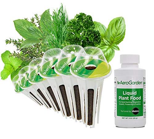 AeroGarden Gourmet Herb Seed Pod Kit (6-Pod)