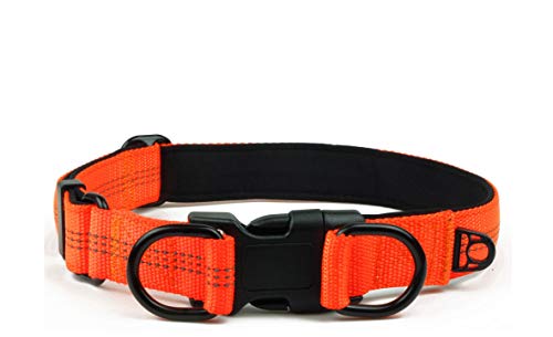 Best dog collar in 2022 [Based on 50 expert reviews]