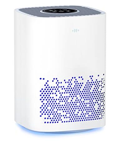 HEPA Air Purifiers for Bedroom, Gukify h13 hepa filter replacement Desktop Filtration for home with Office, bedroom purifier 24db Quiet Sleep Mode, Speeds, Timers, hepa filter Energy Saving, Remove 99.97% Dust Smoke Mold Pollen (White)