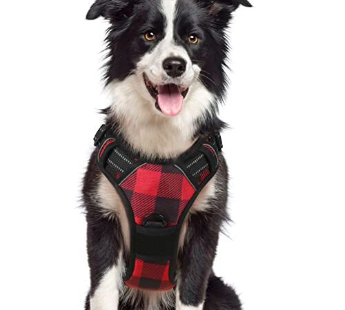 rabbitgoo Dog Harness No Pull, Adjustable Dog Walking Chest Harness with 2 Leash Clips, Comfort Padded Dog Vest Harness with Handle, Reflective Front Body Harness for Large Medium Small Dogs, Plaid