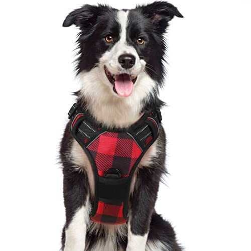 Best dog harness in 2022 [Based on 50 expert reviews]