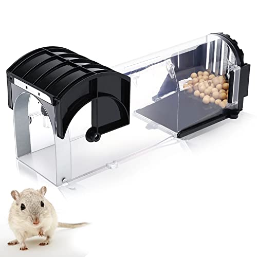 Best mouse trap in 2024 [Based on 50 expert reviews]