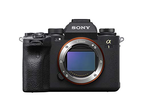 Best sony a7iii in 2023 [Based on 50 expert reviews]