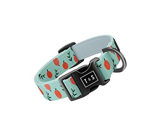 Tella & Stella-Dog Collars for Medium Dogs-Adjustable Nylon Collar-13 in to 18 in Wide-Soft on Dog’s Fur-Lined with Neoprene for Comfort-Chrome D Ring for Hooking The Leash (Peach,Medium)