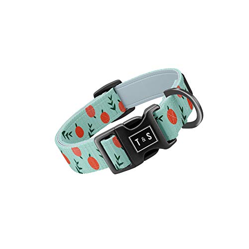 Best dog collar in 2023 [Based on 50 expert reviews]