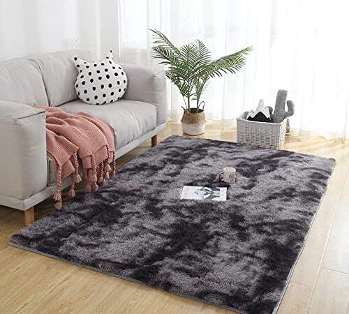 Shag Area Rugs for Living Room Bedroom Rug Modern Ultra Soft Fuzzy Throw Carpets for Kids Girls Boys Pets Room Fluffy Rugs (2X3 Feet, Dark Grey)