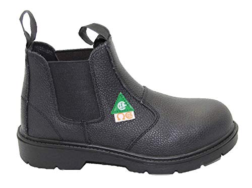 D5 CSA Approved Safety Shoes, Construction Boots, Work Sh (10 men US, black)