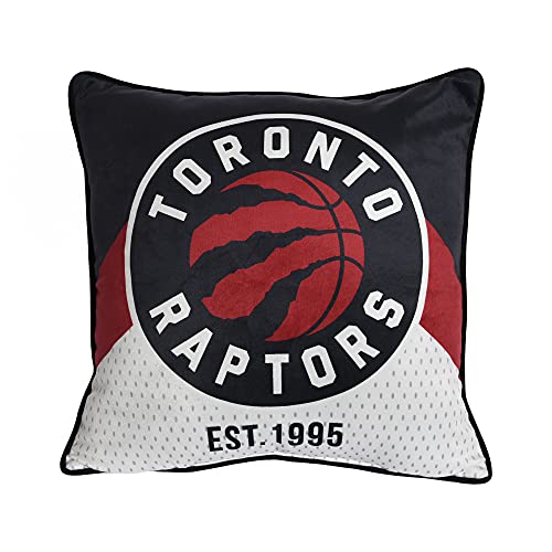 Best toronto raptors in 2024 [Based on 50 expert reviews]