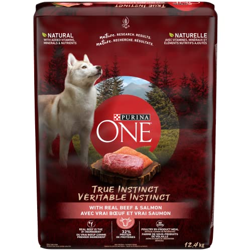 Best dog food in 2024 [Based on 50 expert reviews]