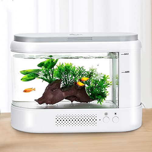 Best fish tank in 2024 [Based on 50 expert reviews]