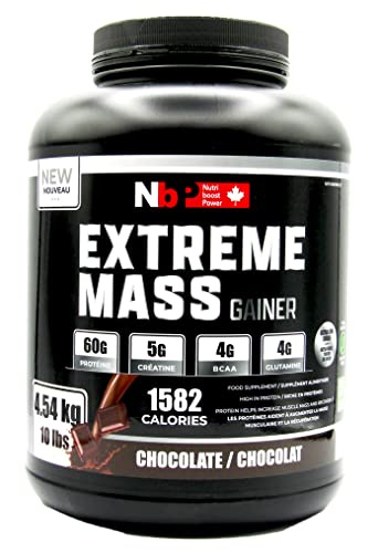 Best mass gainer in 2024 [Based on 50 expert reviews]