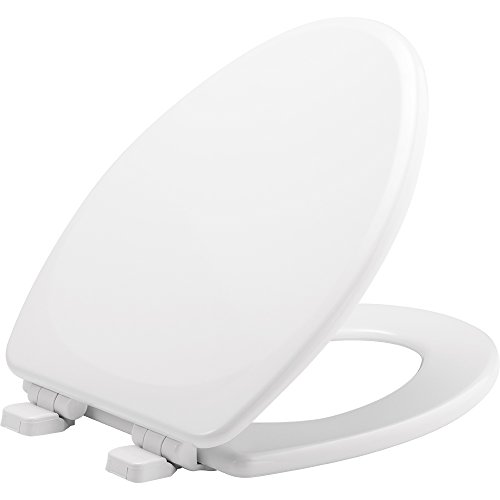 Best toilet seat in 2024 [Based on 50 expert reviews]