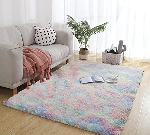 Shag Area Rugs for Living Room Bedroom Rug Modern Ultra Soft Fuzzy Throw Carpets for Kids Girls Boys Pets Room Fluffy Rugs (2X3 Feet, Rainbow)